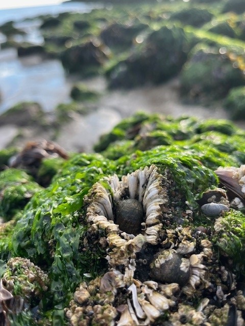 geheimenexcursie 0305